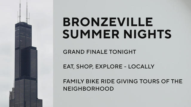 bronzeville-summer-nights.jpg 