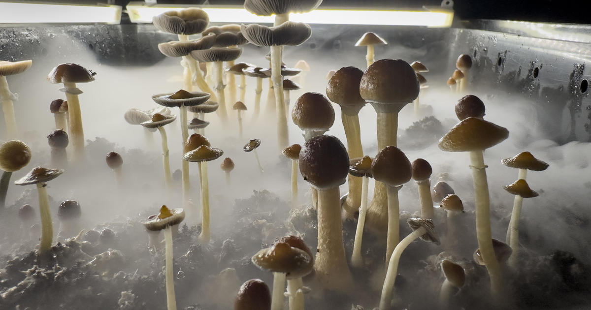 California bill that would legalize psychedelics like magic