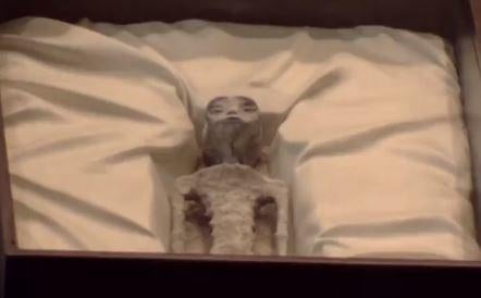 Researcher shows bodies of purported