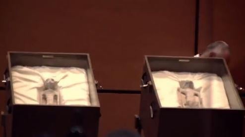 A screengrab from video live-streamed on Sept. 12, 2023 from a hearing in the Mexican Congress' Chamber of Deputies shows small figures in boxes that were described by journalist and UFO researcher Jamie Maussan as