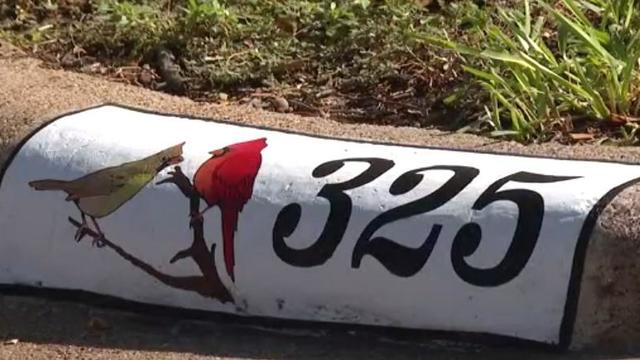 Irving artist uses homes as his muse: "He created a masterpiece on my curb" 