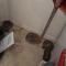 20 rattlesnakes found in homeowner's garage: "This is crazy"