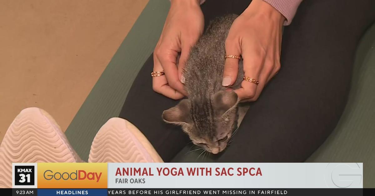 Animal Yoga with Sac SPCA