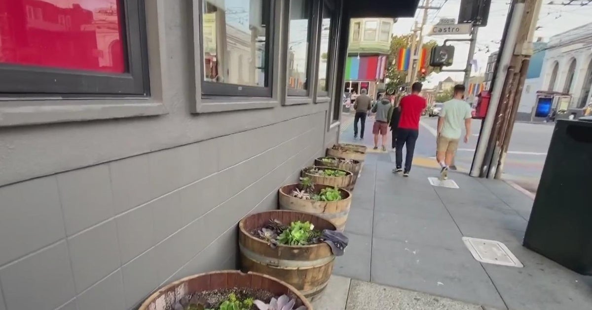Planters installed outside San Francisco Walgreens in the Castro meant to deter illegal activity loiterers Planters installed outside San Francisco Walgreens in the Castro meant to deter illegal activity loiterers