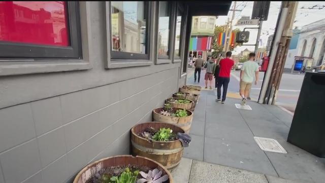 planters at Castro Walgreens in San Francisco 