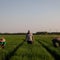$43 million worth of crops destroyed in devastating Spain hailstorm