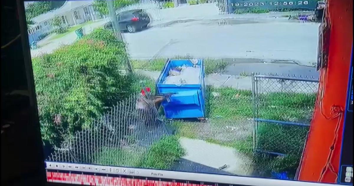 Caught On Video Exchange Of Gunfire In Nw Miami Dade Results In 3 Shot