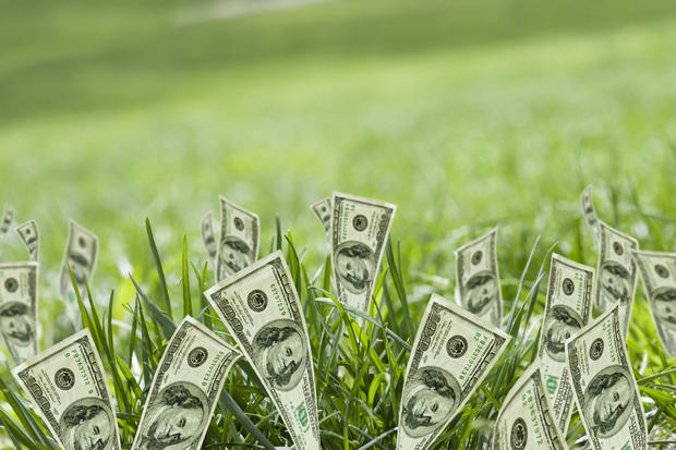 100 dollar bills growing in grass 