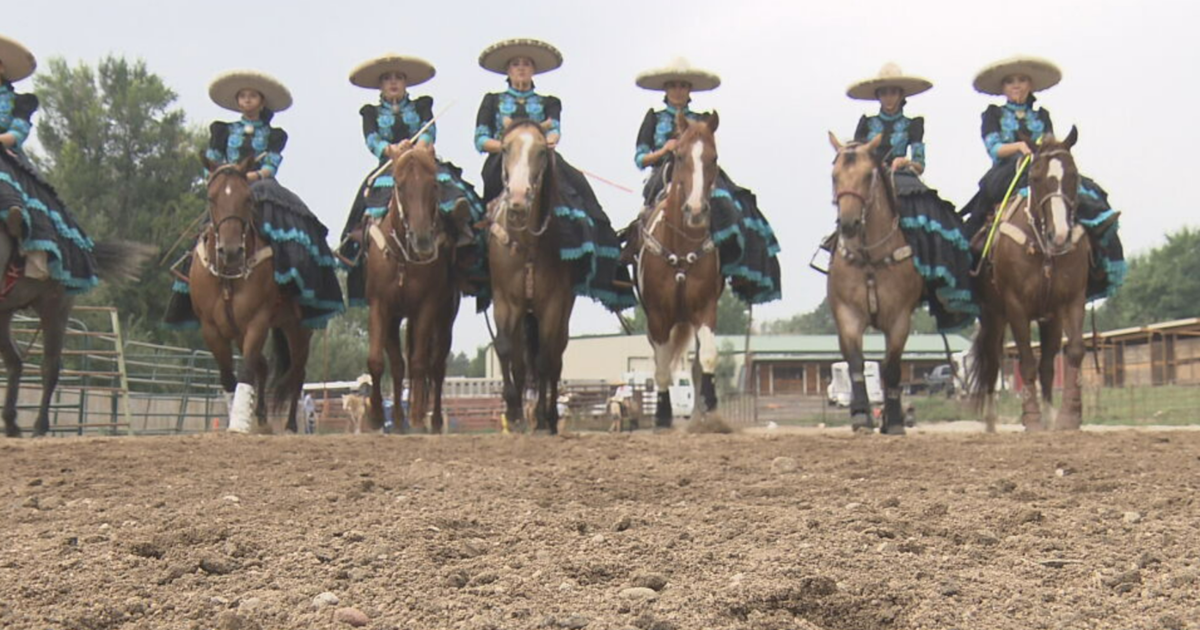 mexican dancing horses charro utube
