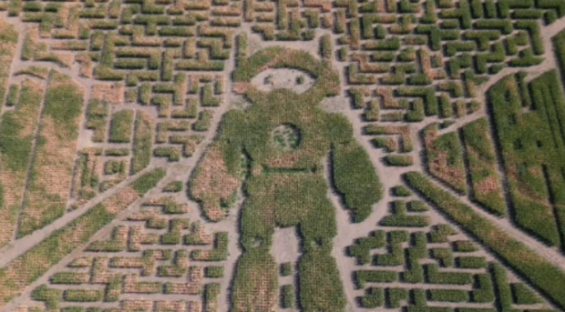 robot-corn-maze 