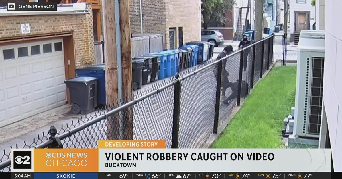 Rubrakings Chicago A Shocking Investigation - veavm3z