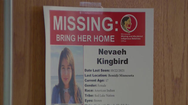 nevaeh-kingbird-missing-poster.jpg 