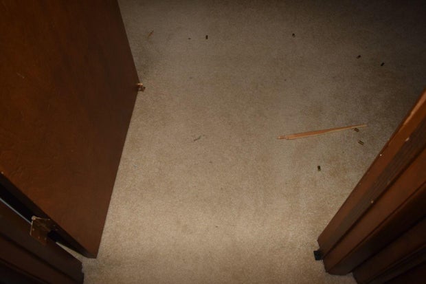 Bliefnick evidence