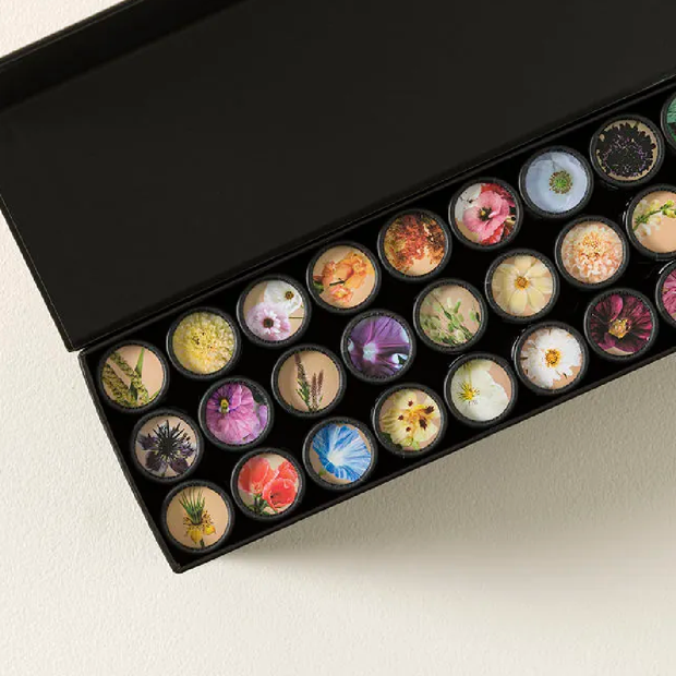 Flower Garden in a Box