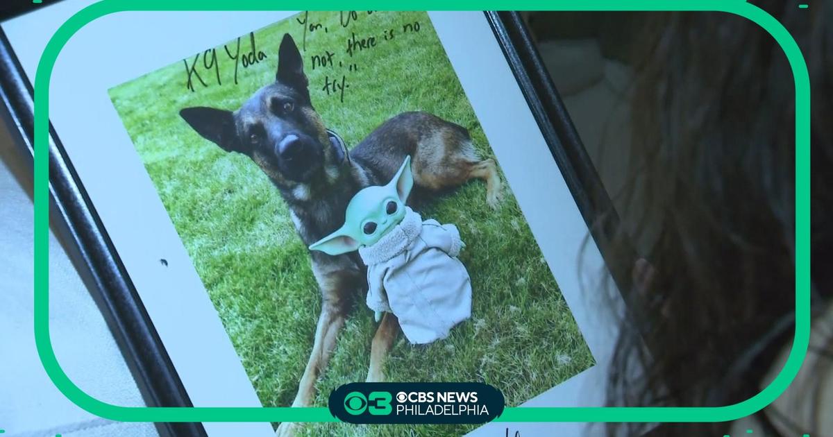 K-9 Yoda's handler surprises son of ex-girlfriend with signed photo ...