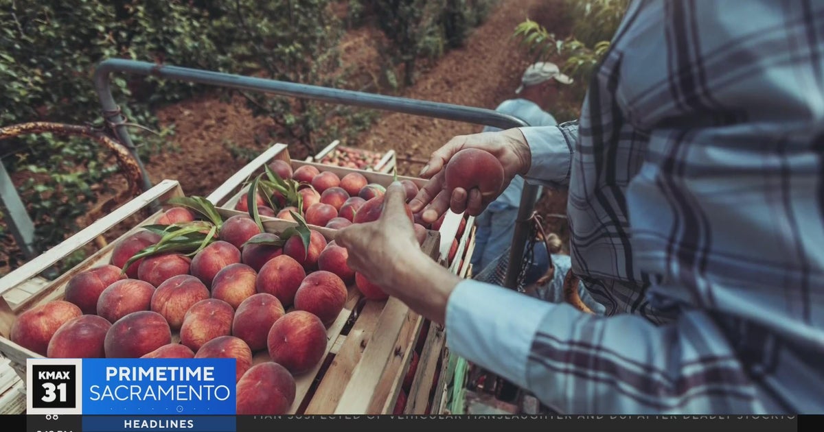 Sacramento Speaks: A love for farming