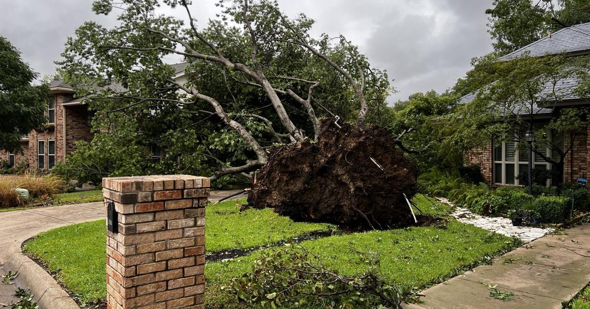 Stay Prepared for Spring Storms in Texas: Tips to Keep Your Home Safe  During Power Outages - Dallas / Fort Worth Home Inspections