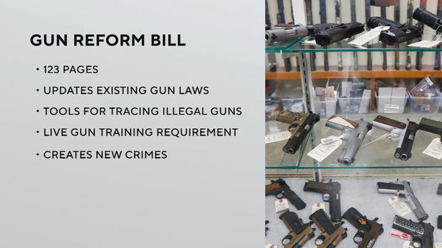 Gun reform bill 