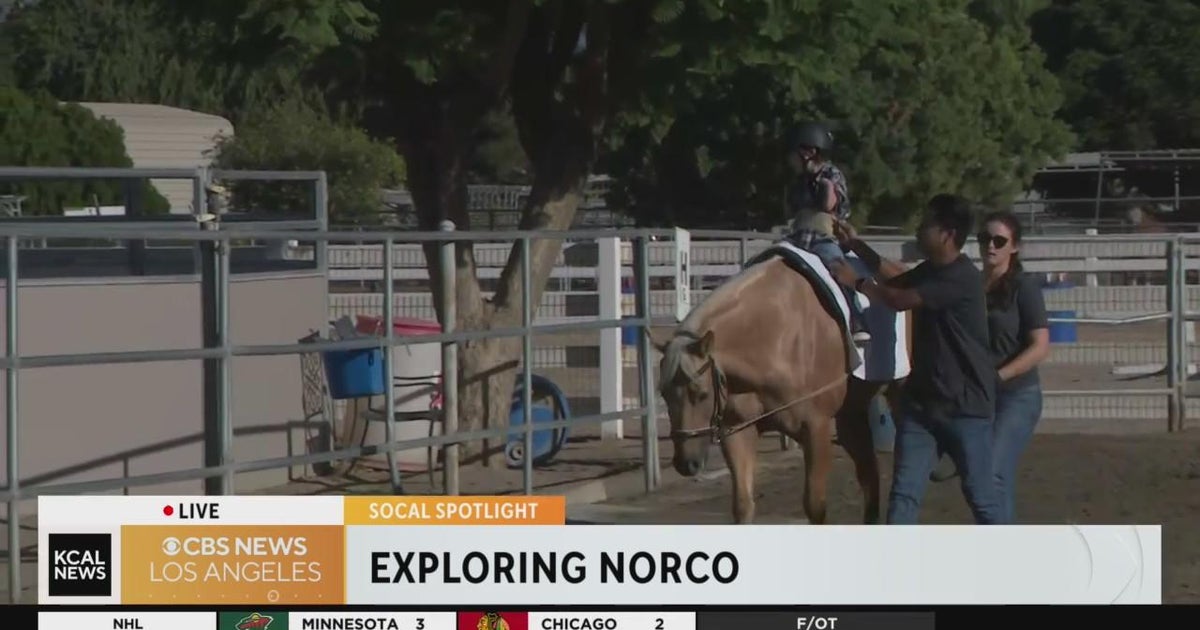 Horse therapy in Norco SoCal Spotlight CBS Los Angeles