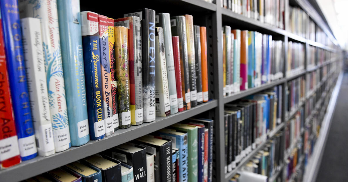 Законодателите в Джорджия разглеждат възможността за повдигане на наказателни обвинения срещу училищни библиотекари за сексуално съдържание на книги