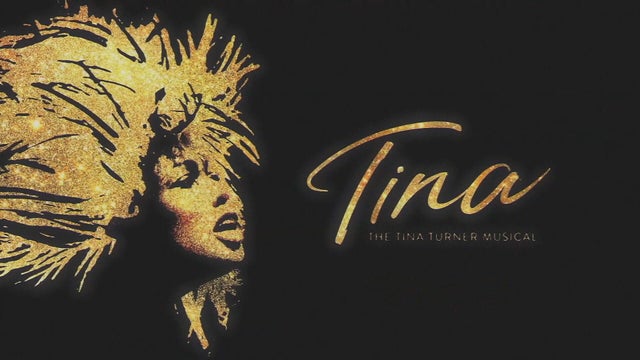 tina-turner-5pkg-frame-0.jpg 