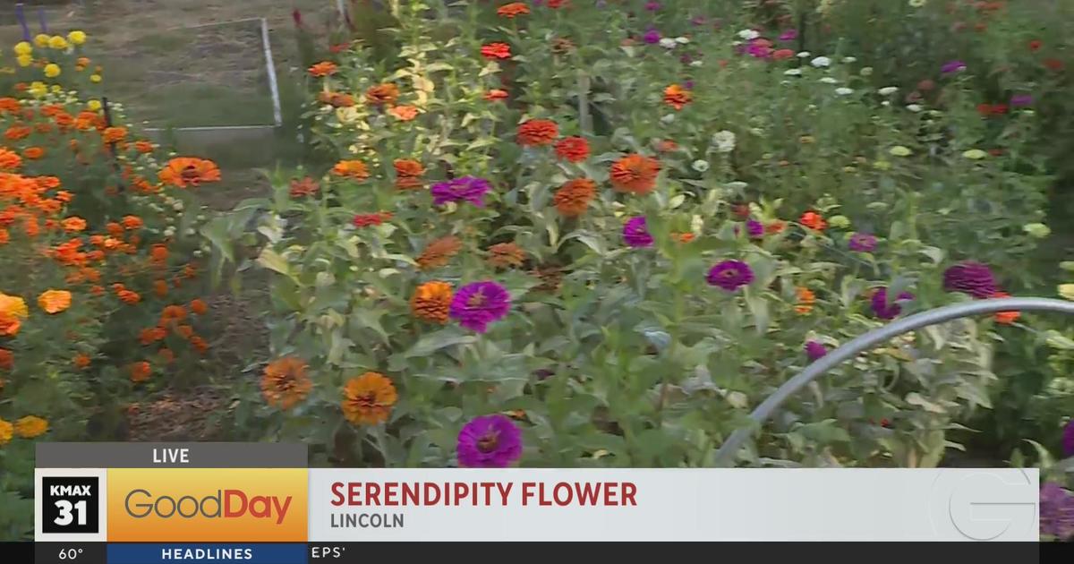 Serendipity Flower - Good Day Sacramento