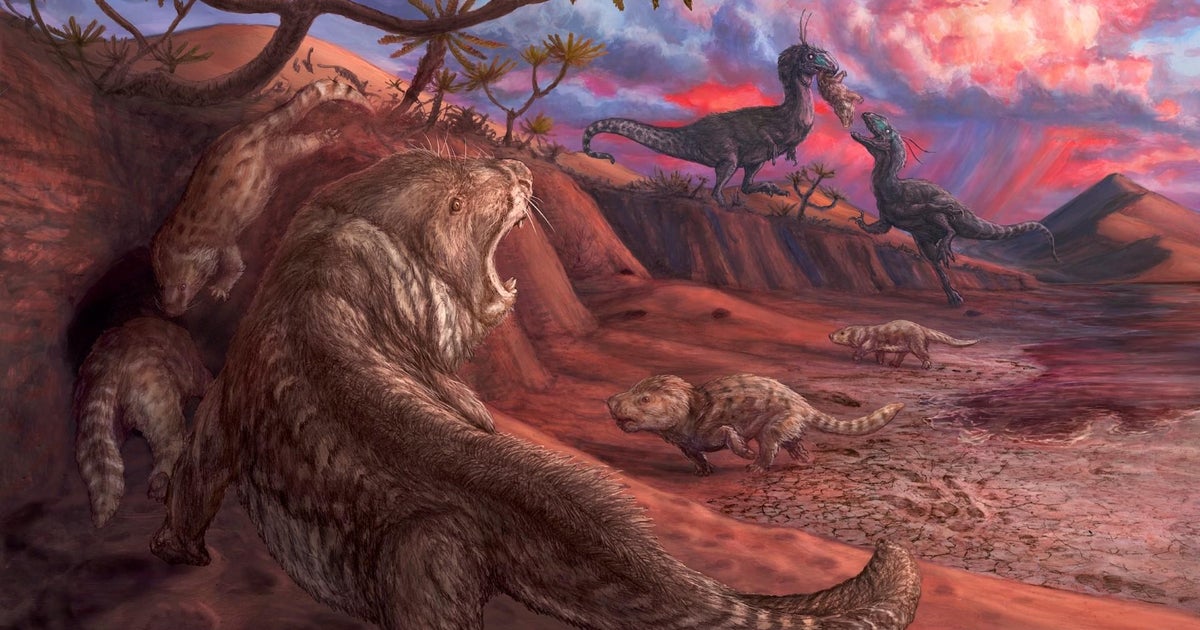 "Extremely rare" Jurassic fossils discovered near Lake Powell in Utah: "Right place at the right time" - Vimarsana News