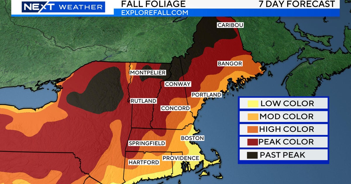 New England Foliage Map 2025