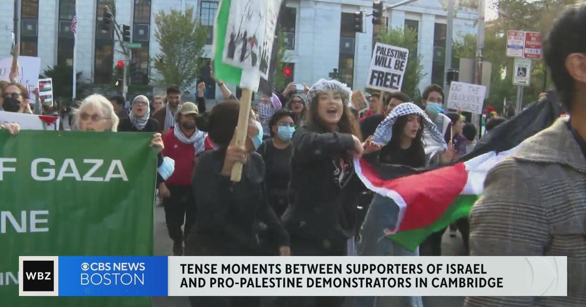 Video shows altercation at pro-Palestine 'die-in' at Harvard