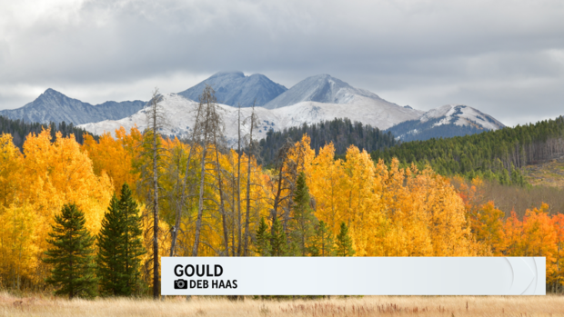Fall Colors in Colorado in 2023 