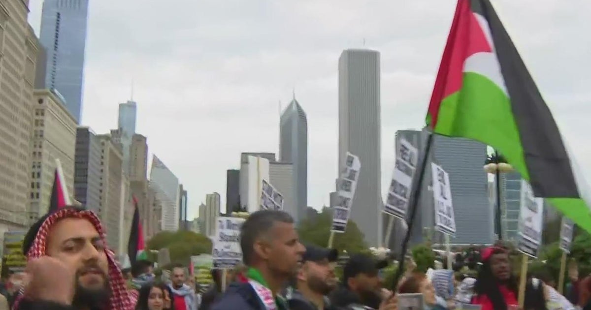 Pro-Palestinian marchers rally in downtown Chicago - CBS Chicago