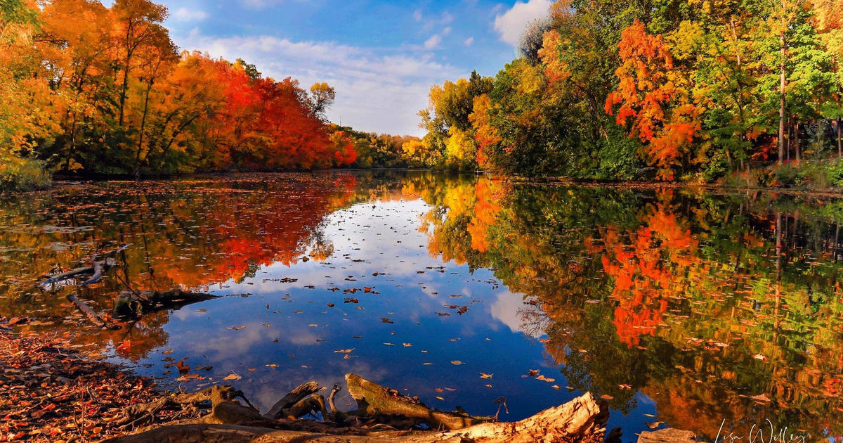 Fall colors, from WCCO viewers statewide