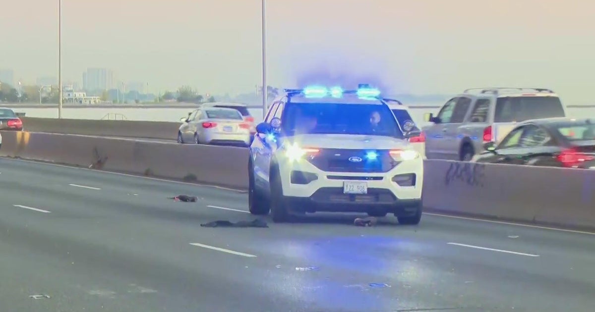 Pedestrian hit, killed by car on DuSable Lake Shore Drive - CBS Chicago