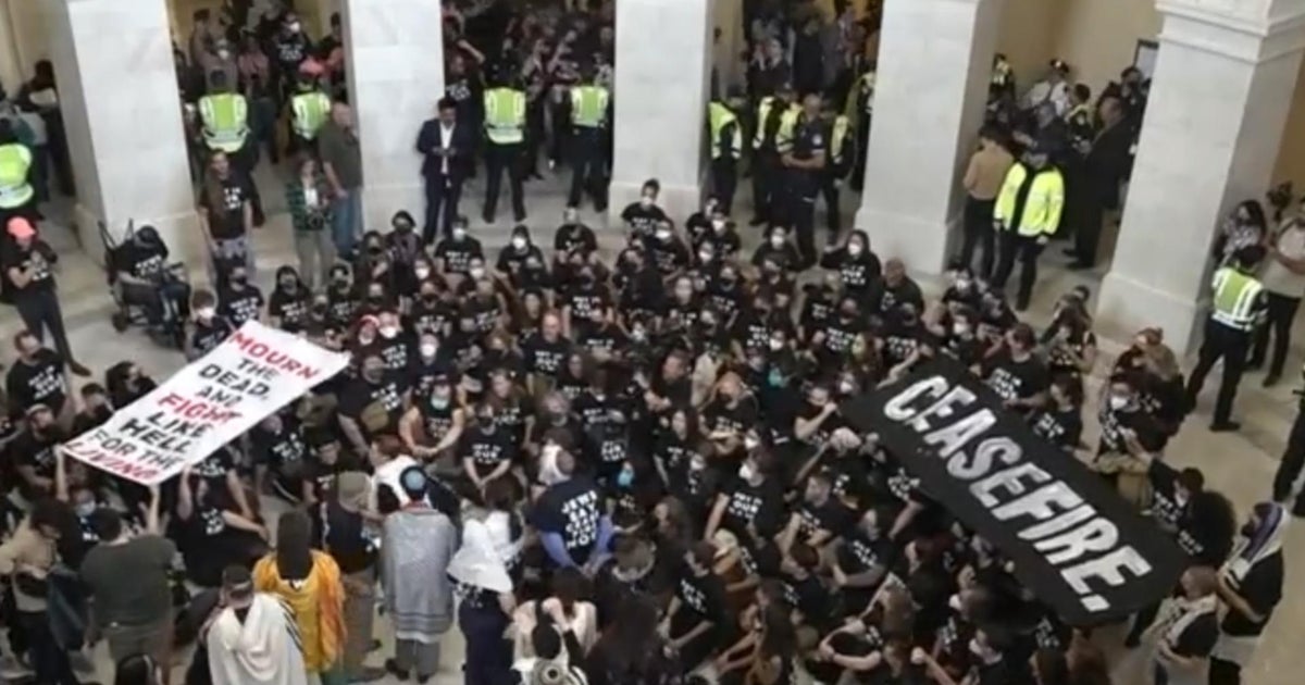 Protesters on Capitol Hill call for Israel-Hamas cease-fire, hundreds ...