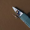 Death of dolphins in Amazon linked to severe drought and heat 