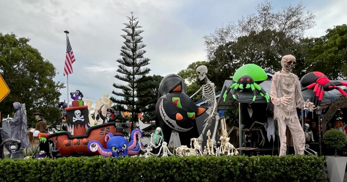 Here’s what you can do this weekend in South Florida