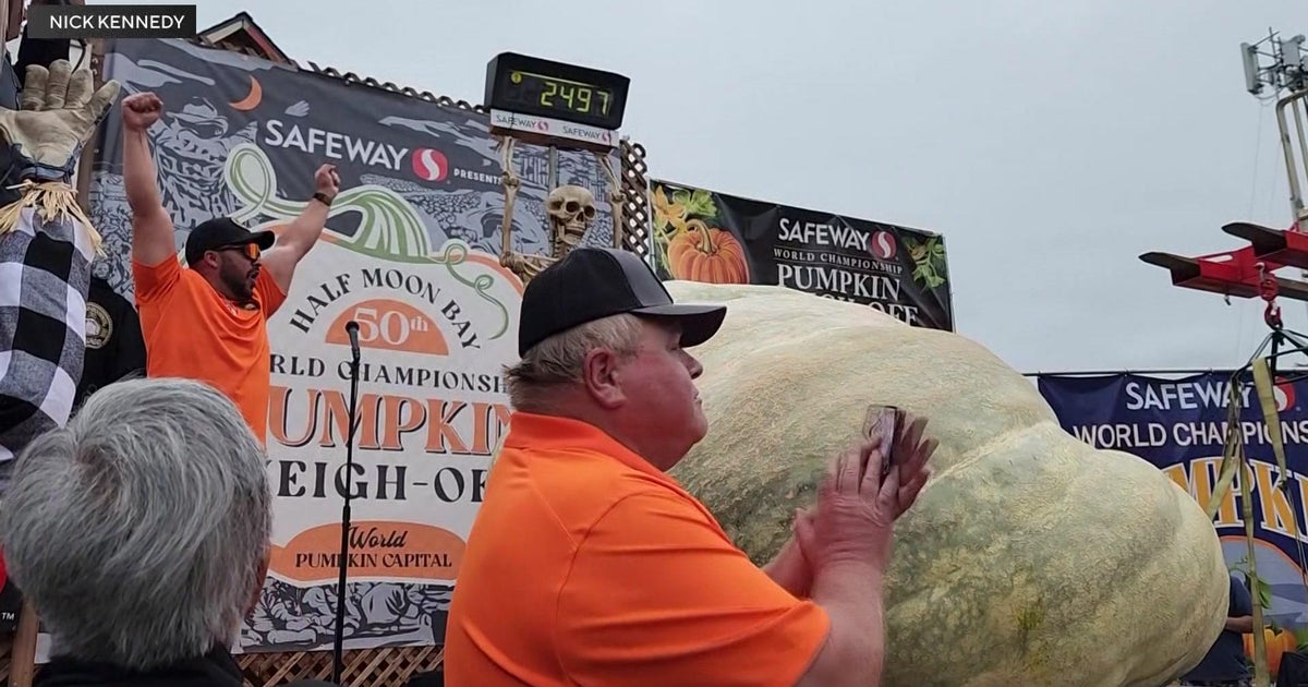 Sacramento-area growers break California state record with giant pumpkin