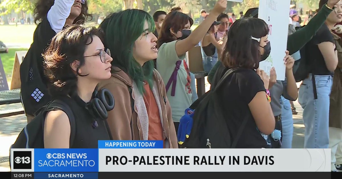 Pro-Palestine rally held in Davis