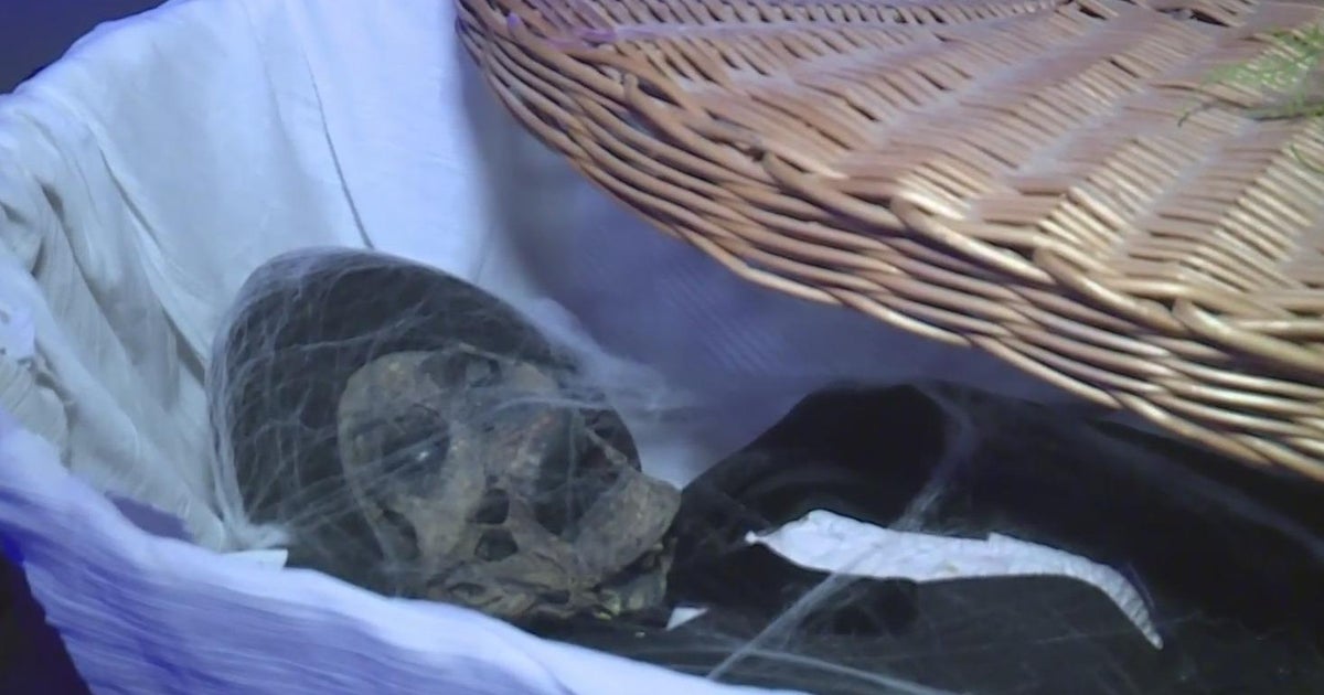 Sacramentos historic Leland Stanford mansion offers special Halloween tours