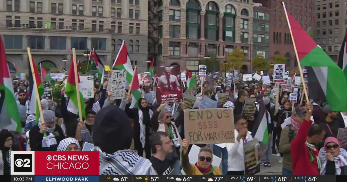 Large protest over Israel-Hamas War in downtown Chicago - CBS Chicago