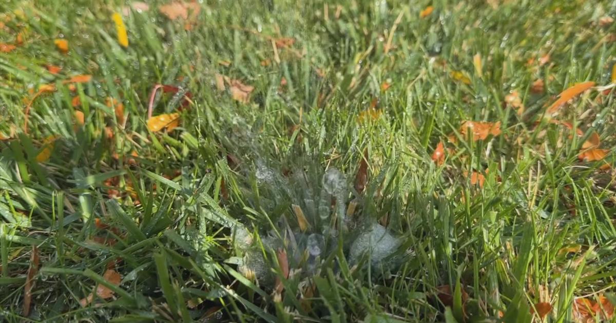 Get ready for the cold by blowing out your sprinkler system