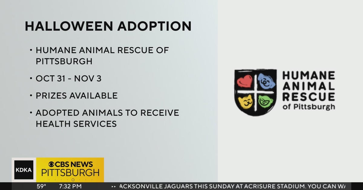Humane Animal Rescue of Pittsburgh hosting Halloween adoption event ...