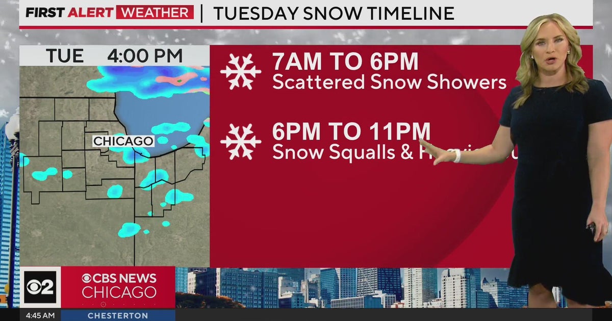 Chicago Weather Alert: First snowfall of the season, high temperatures ...