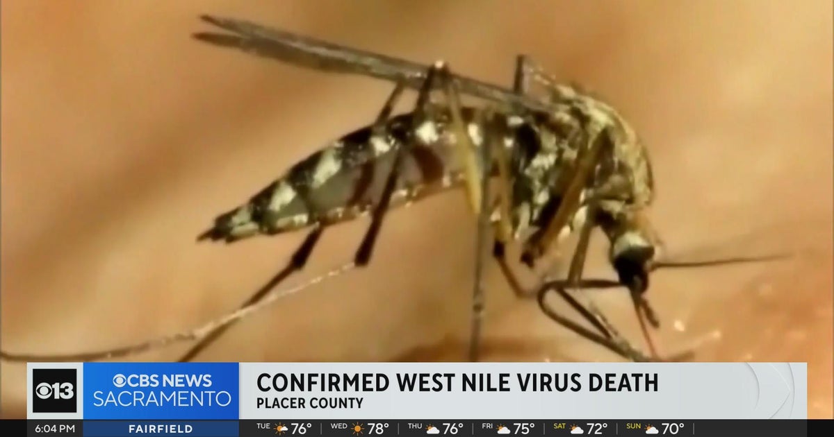 Placer County reports first West Nile virus death in 5 years