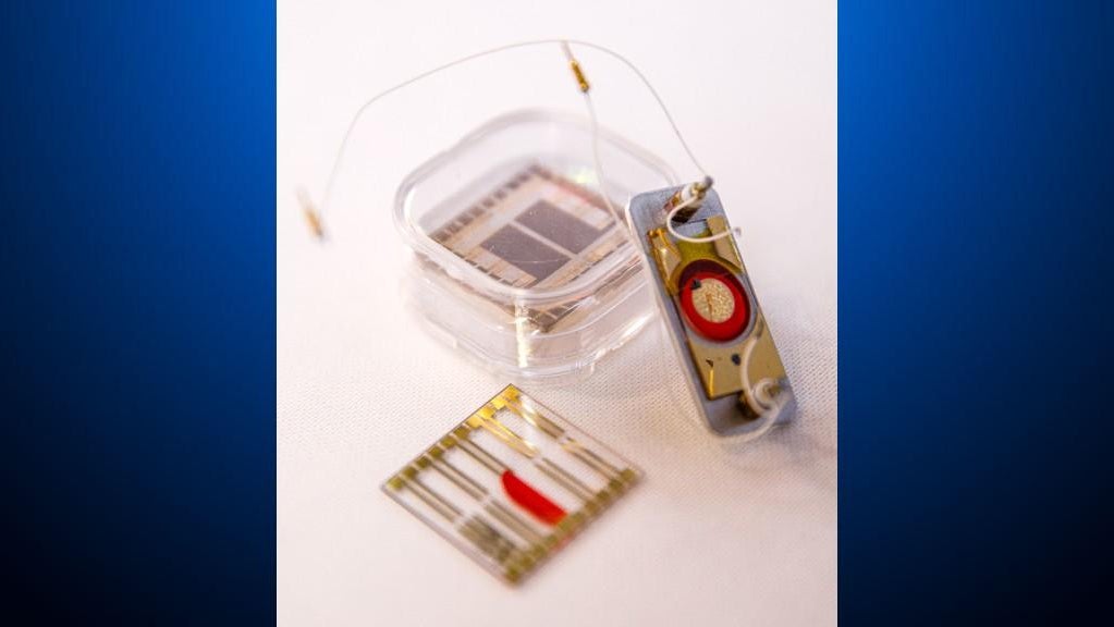 Radiation therapy patch can save cancer patients from collateral damage ...