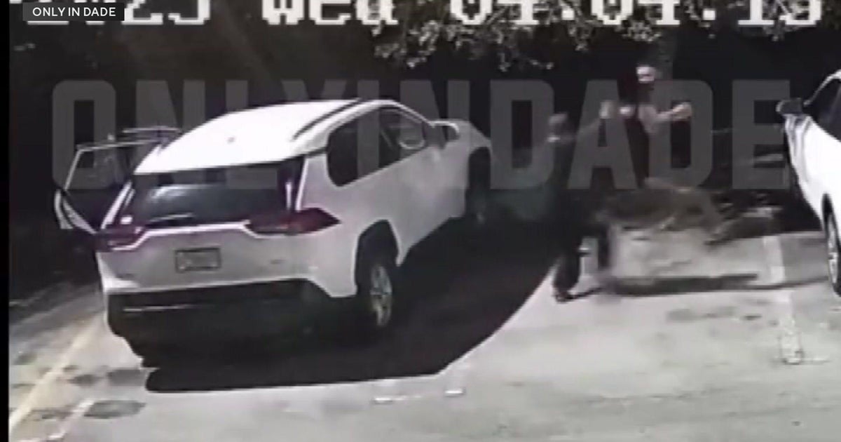 Person picks incorrect man to assault ex-MMA fighter speedily subdues knife wielder