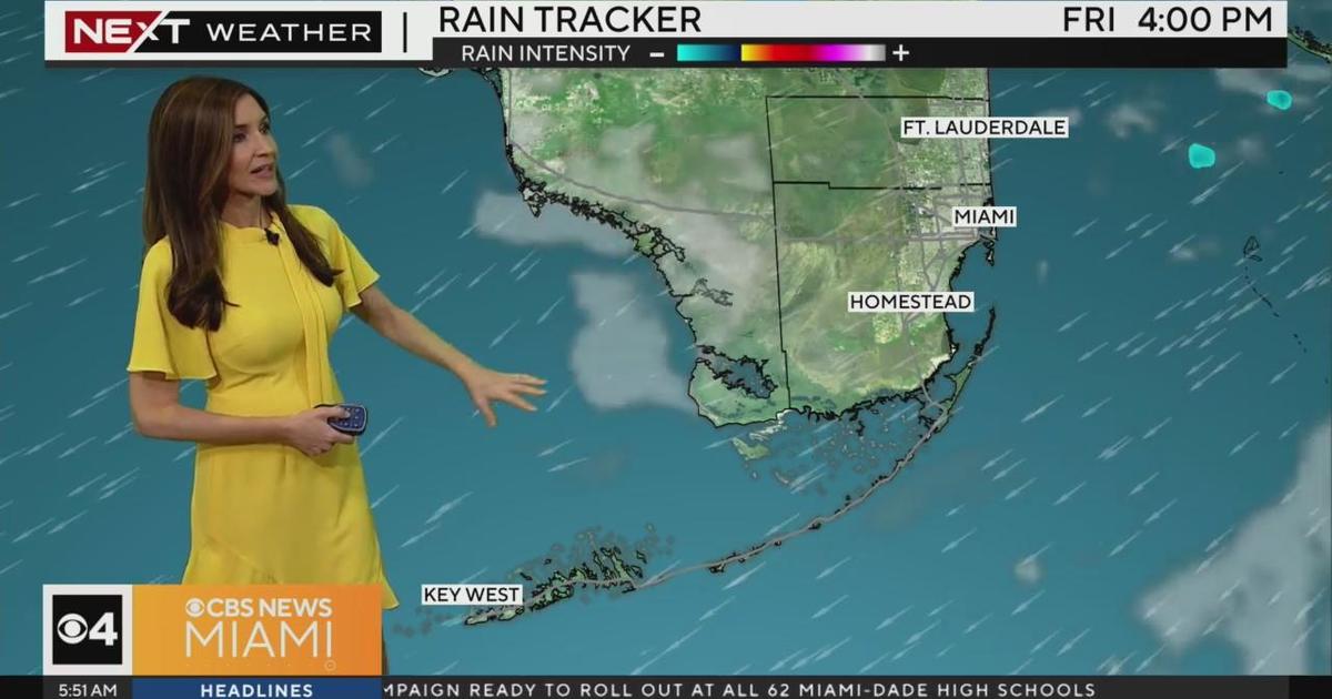 Miami weather conditions: Seasonably warm, windy and generally dry