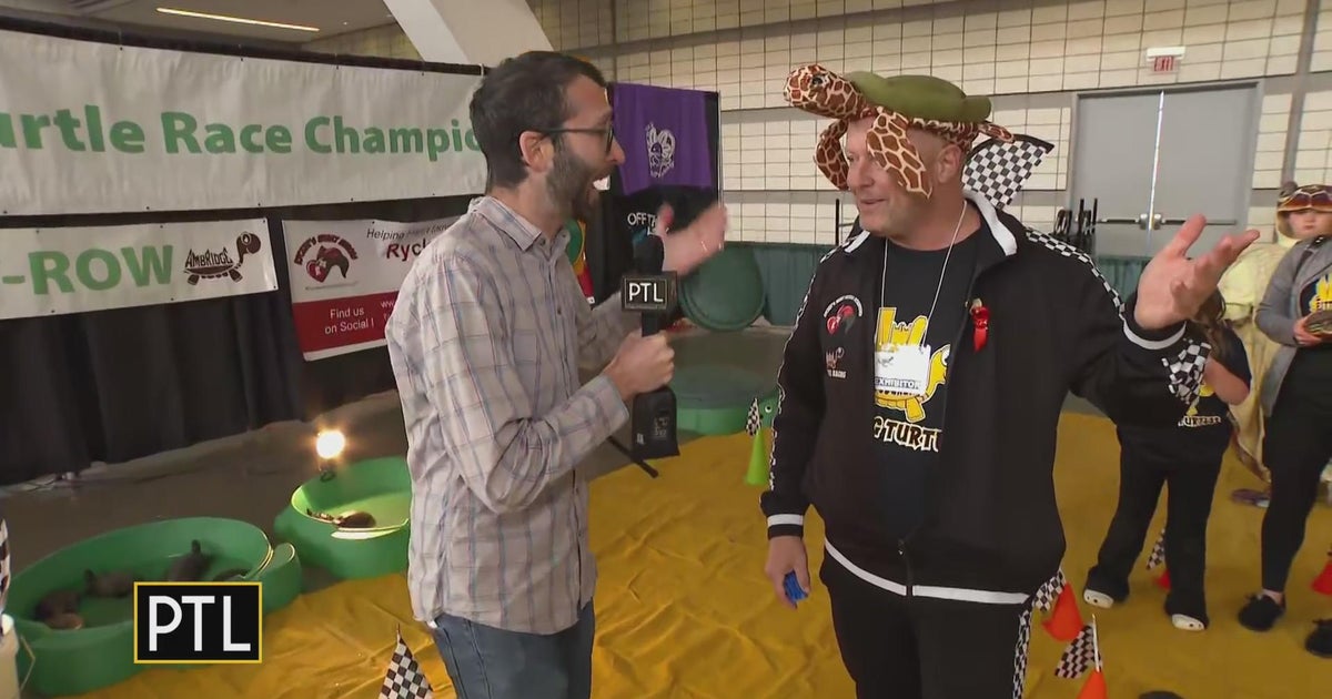 Slow and steady: Turtle racing featured at the 2023 Pittsburgh Pet Expo ...