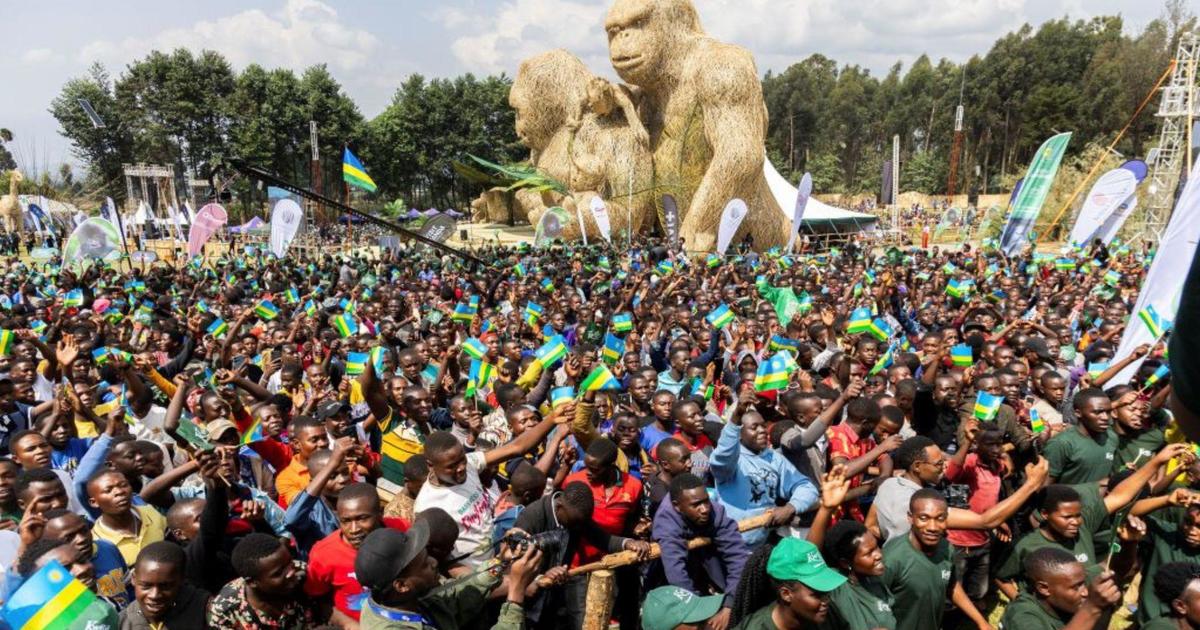 Cesta do Rwandy: Medzinárodné úsilie o ochranu ohrozených goríl