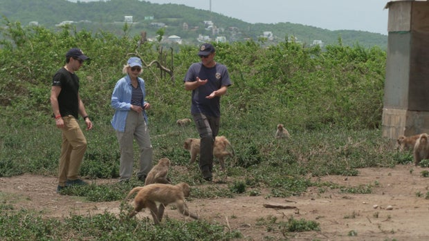 Noah Snyder-Mackler, Lesley Stahl and James Higham